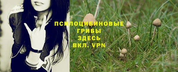 гидропоника Краснослободск