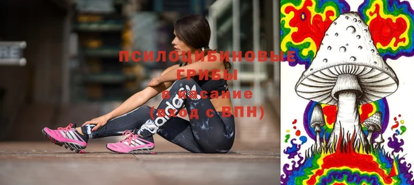 гидропоника Краснослободск