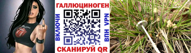 Купить где  Сосновка  Галлюциногенные грибы ЛСД 